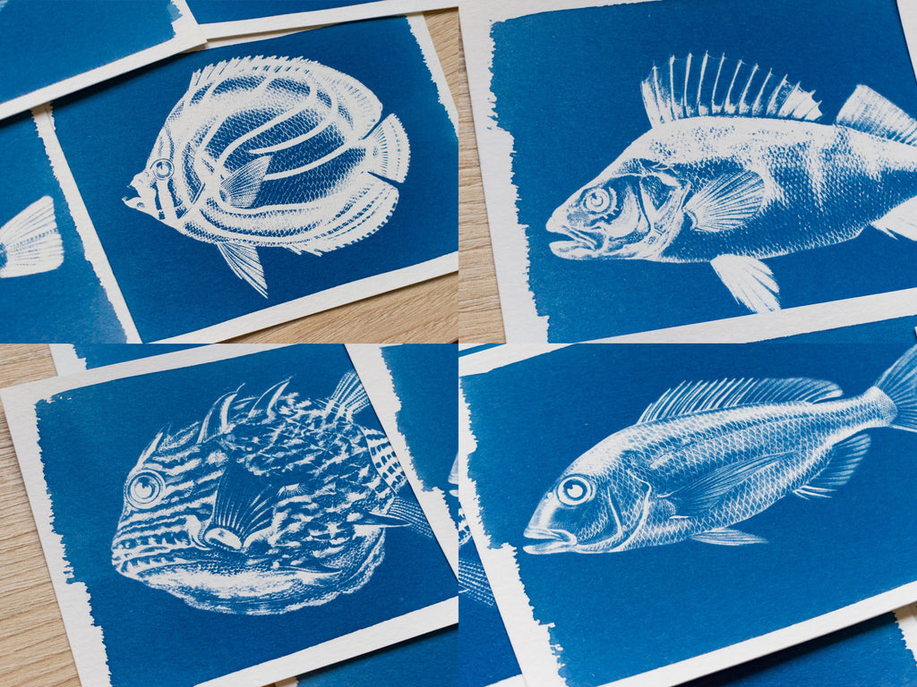 fish negatives for solar printing