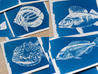 fish negatives for solar printing