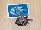 fishes cyanotype art