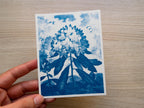 flora cyanotype print with negatives