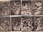floral Art Cyanotype Stencils 