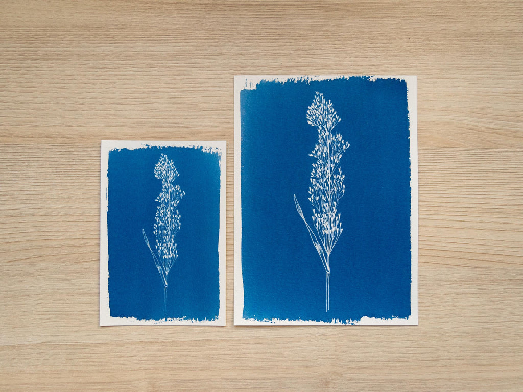 floral cyanotype art with stencils