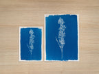 floral cyanotype art with stencils