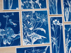 floral cyanotype print