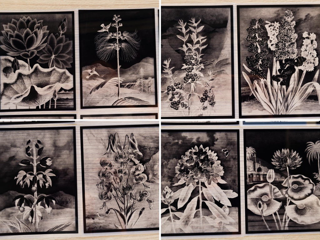 floral cyanotype stencils for solar printing 