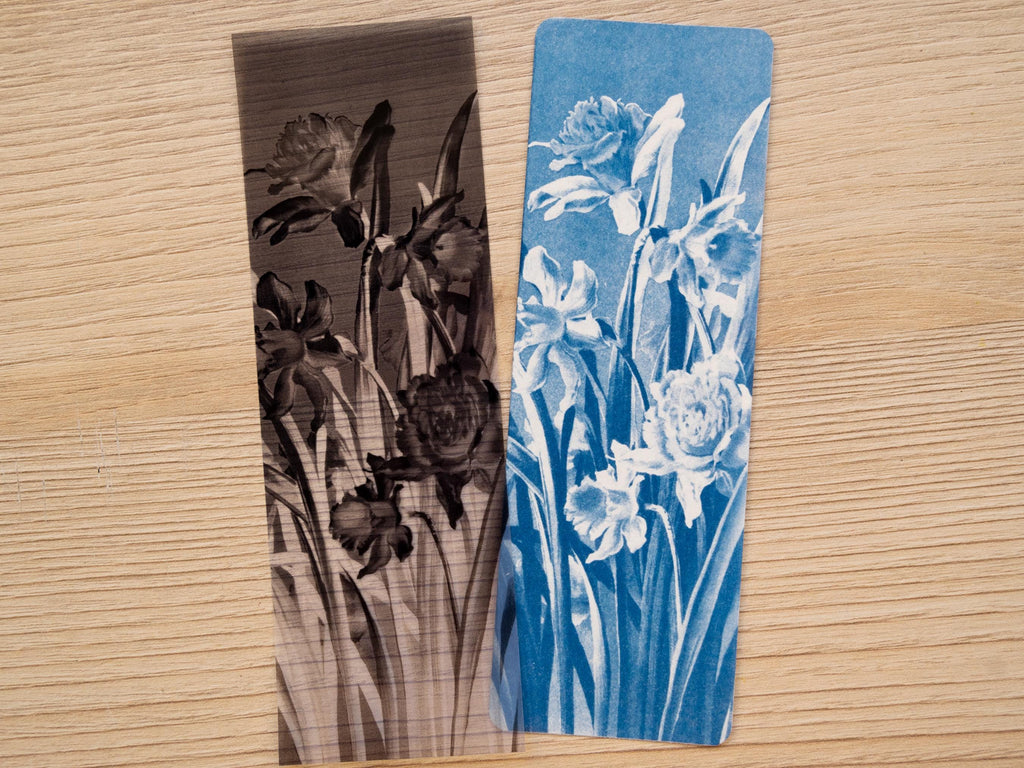 floral illustrations to make cyanotype 