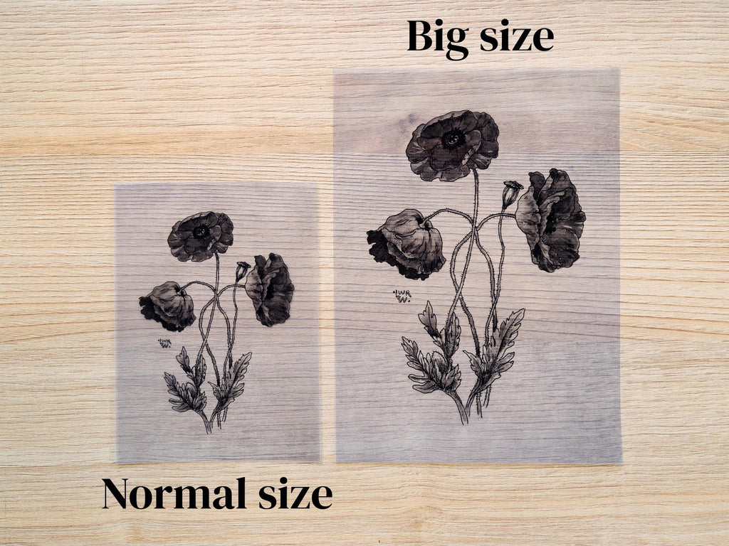 floral negatives for cyanotype