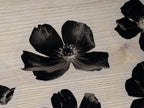 floral negatives for solar printing