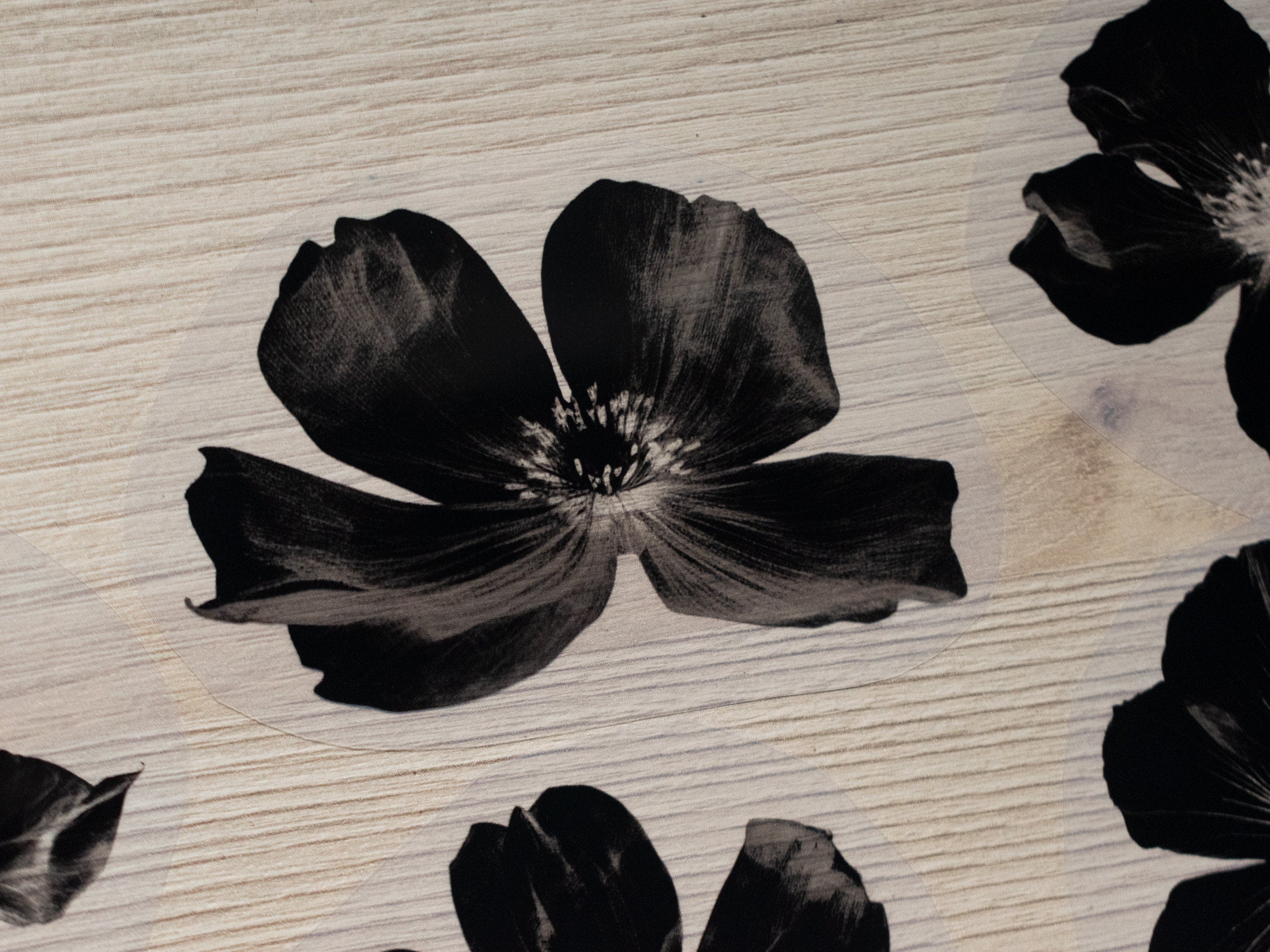 floral negatives for solar printing
