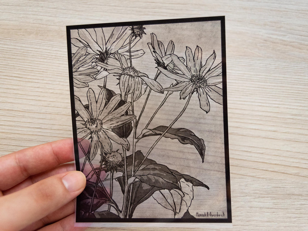 floral stencil for solar printing