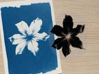 floral stencils for cyanotype