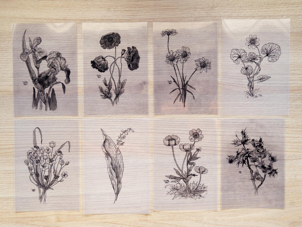 floral stencils for cyanotype crafts