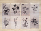 floral stencils for cyanotype crafts