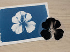 floral stencils for solar printing