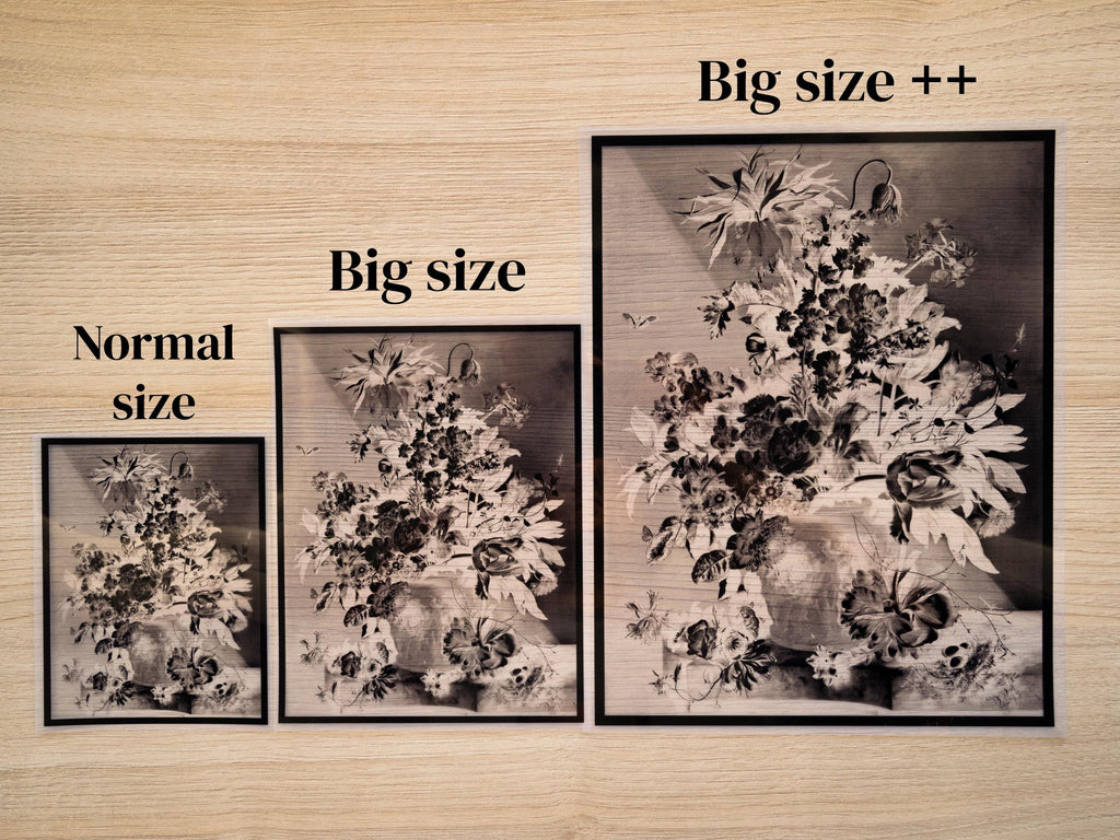 floral still life cyanotype negatives