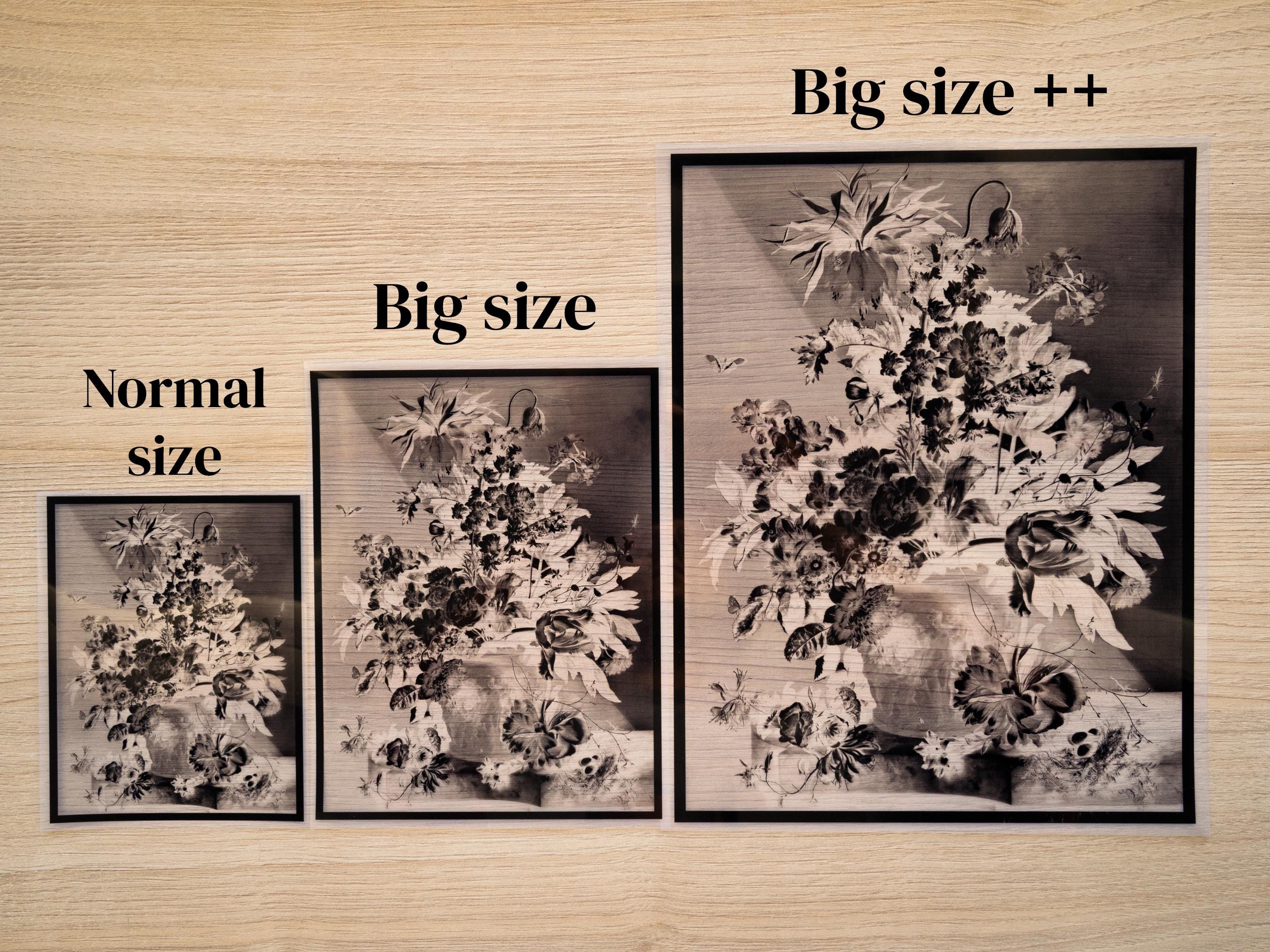 floral still life cyanotype negatives