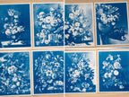 floral still life cyanotype print