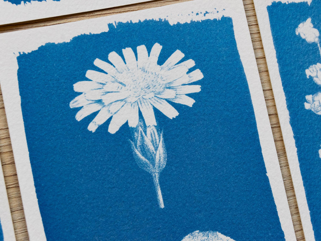 flowers craft ideas for solar printing