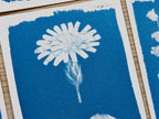 flowers craft ideas for solar printing
