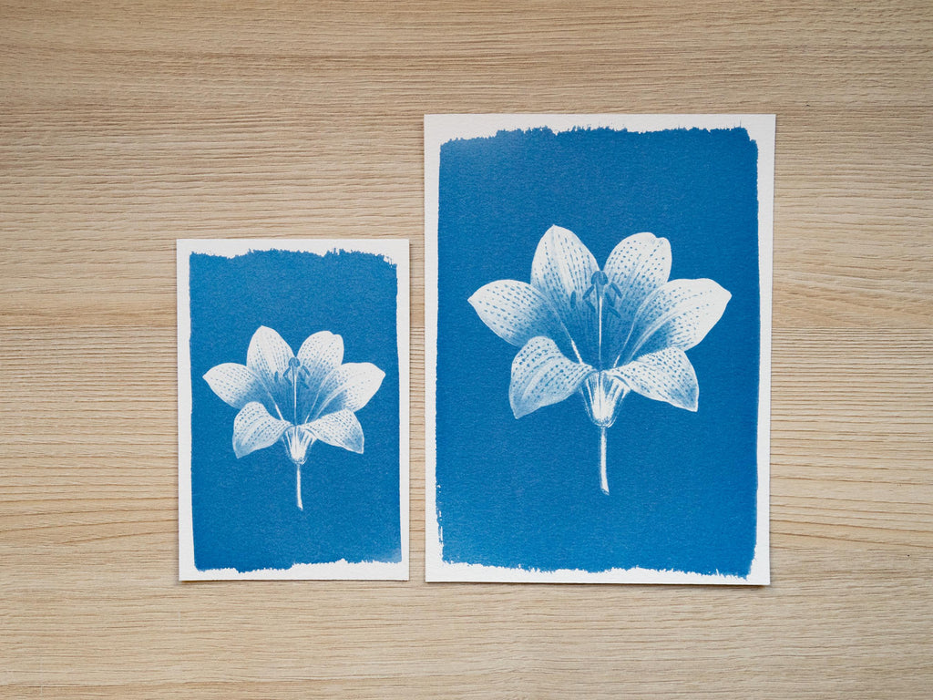 flowers cyanotype crafts