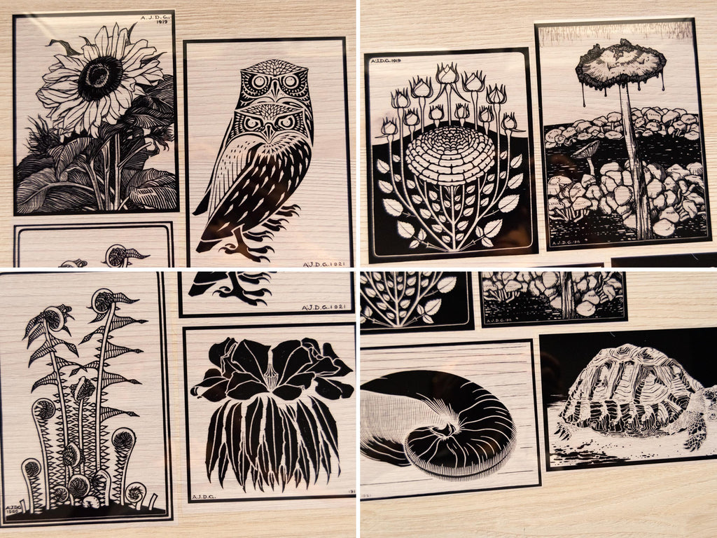flowers cyanotype stencils for solar art