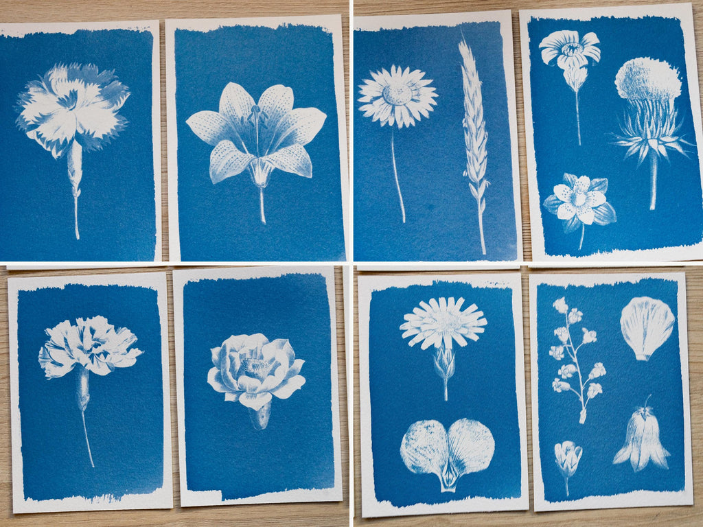 flowers for solar printing crafts