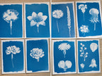 flowers for solar printing crafts