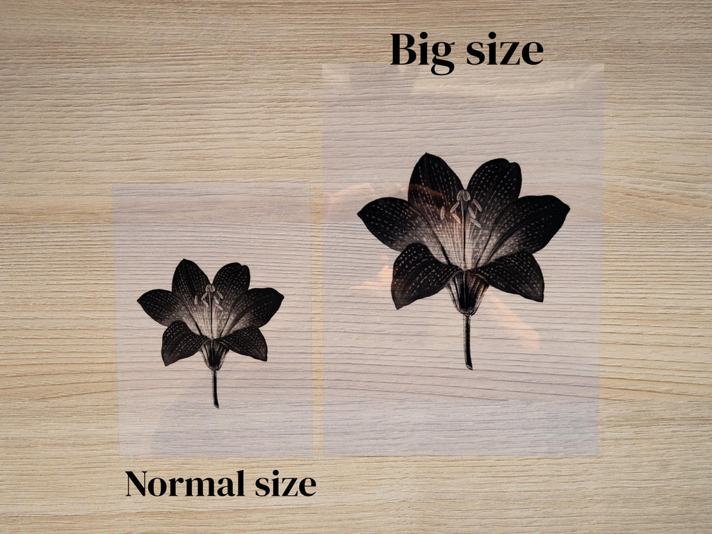 flowers stencils for cyanotype crafts