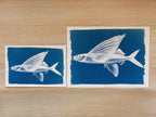 flying fish cyanotype print