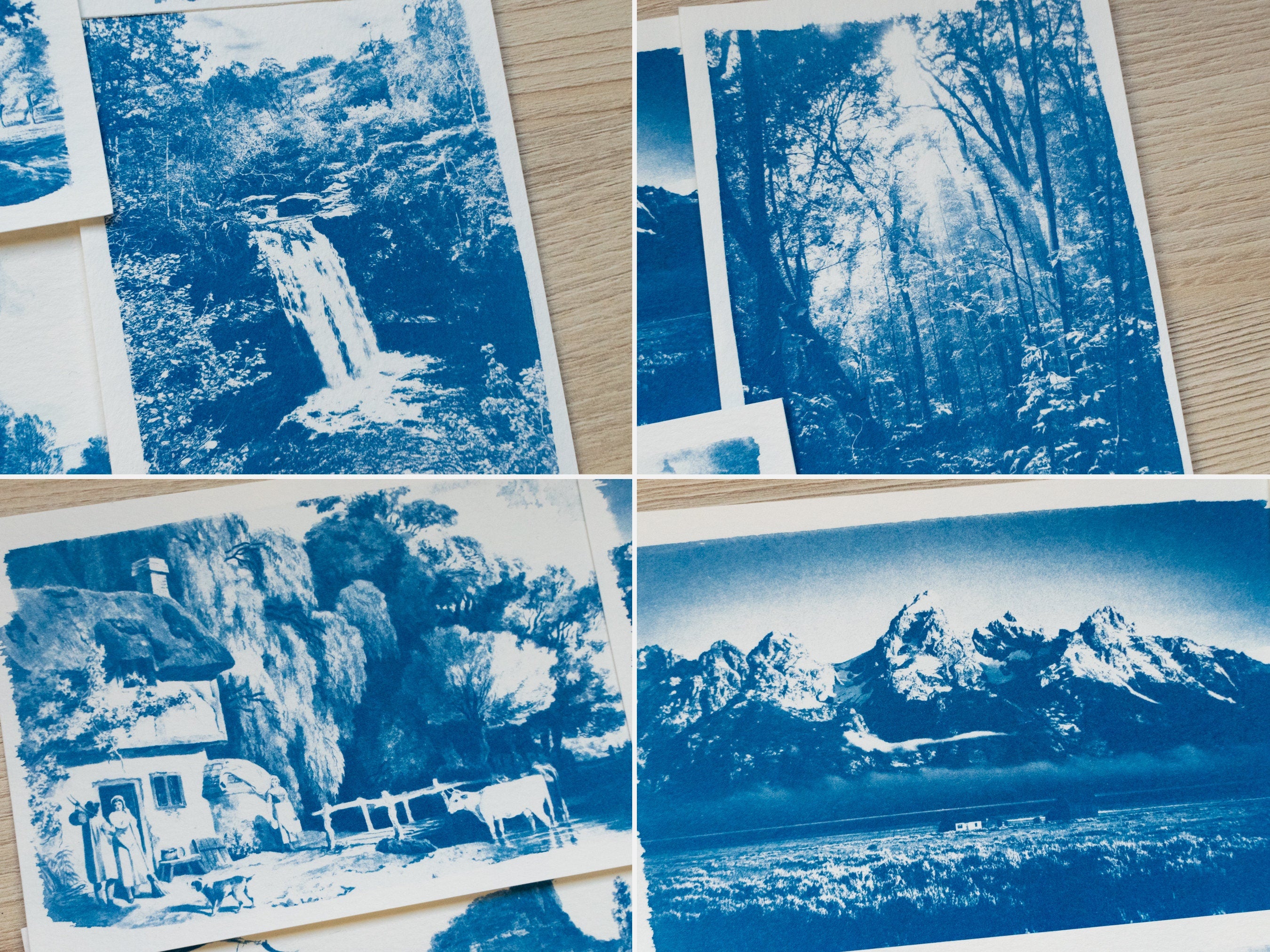 forest cyanotype print