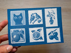 fruits postage stamp cyanotype print