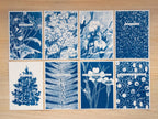 handmade Greeting cards
