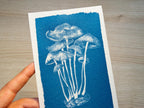 handmade cyanotype art with stencils