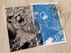 handmade_cyanotype_crafts_ideas_with_negatives