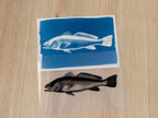 handmade cyanotype fish print