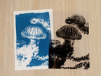 handmade cyanotype negatives 