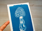 handmade cyanotype print with negatives