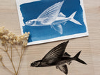 handmade cyanotype print with stencils