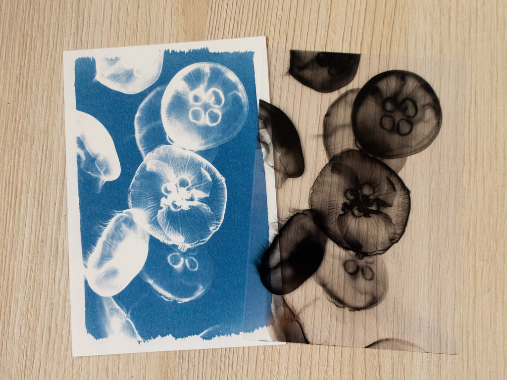 handmade cyanotype stencils for crafts