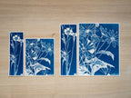 handmade floral cyanotype print