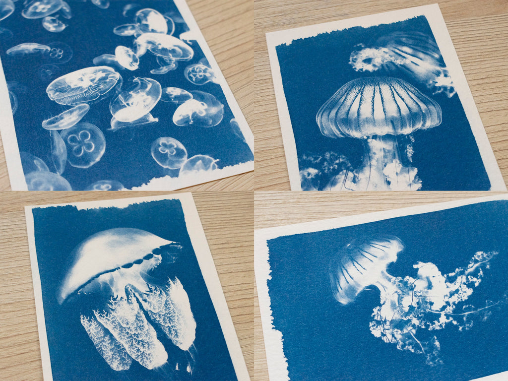 handmade jellyfish cyanotype crafts ideas
