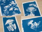 handmade jellyfish cyanotype crafts ideas