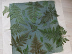 how to make cyanotype on fabric