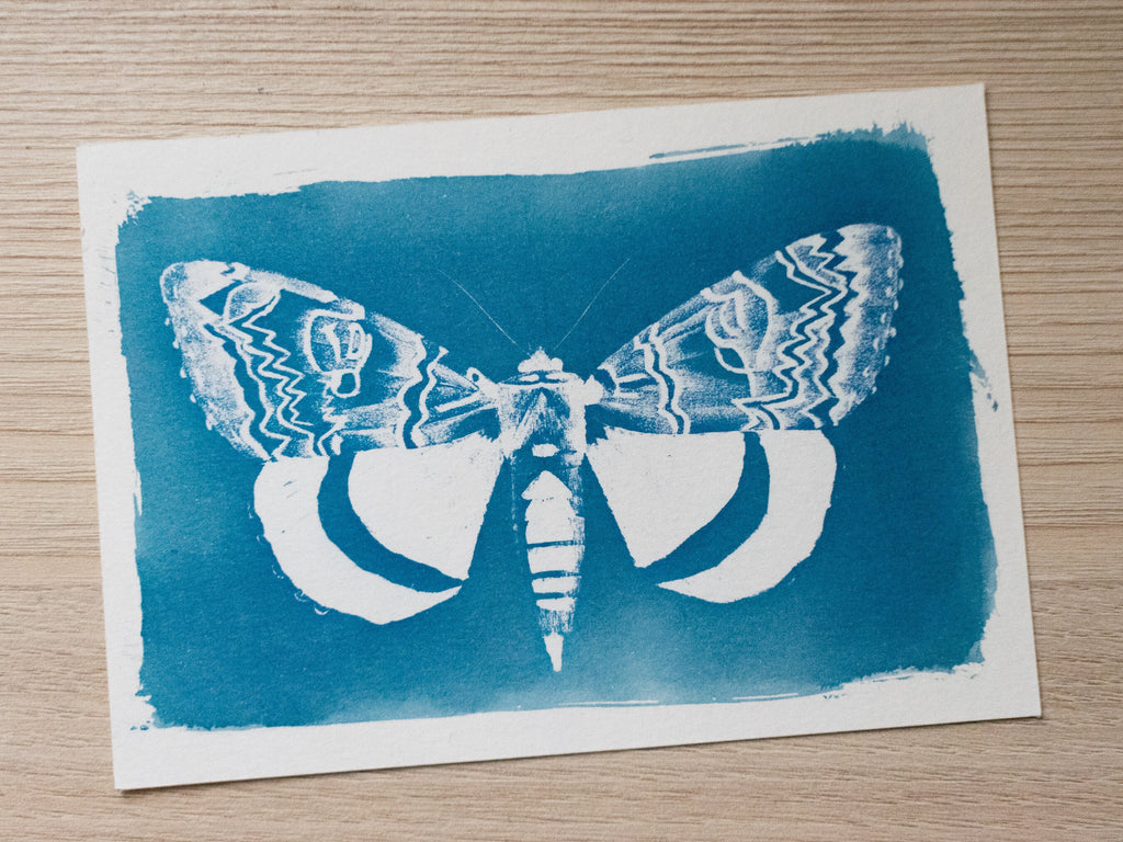 how to make cyanotype stencils