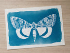 how to make cyanotype stencils