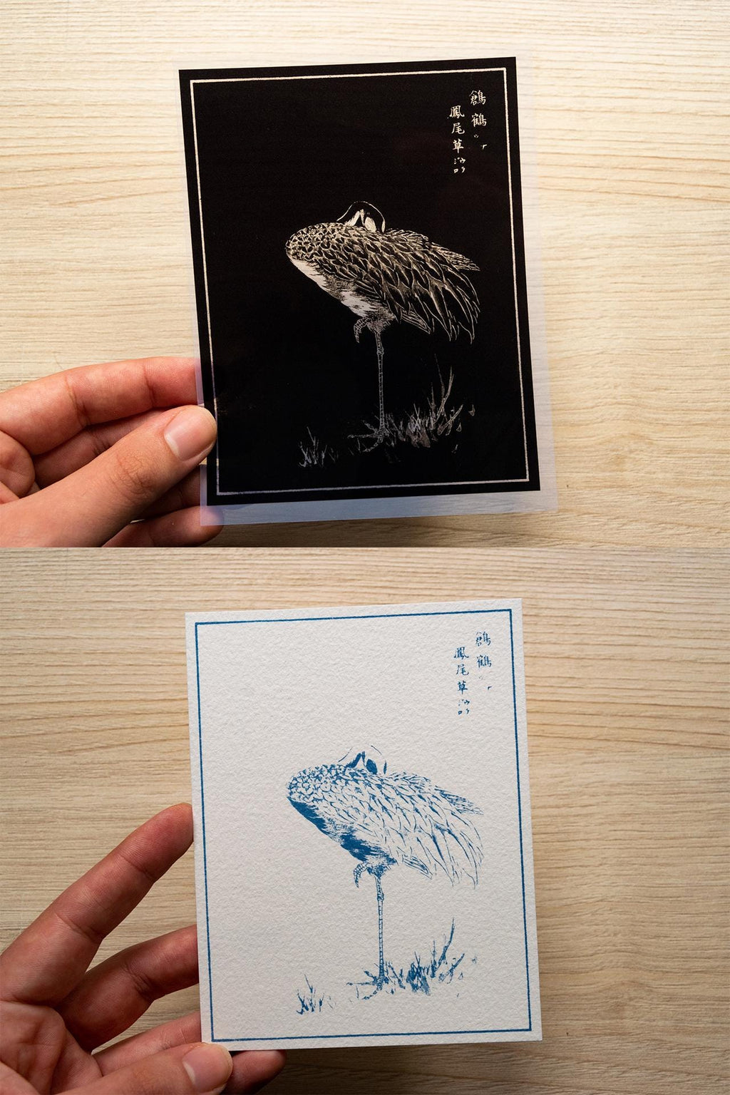 how to make cyanotypes with photo negatives