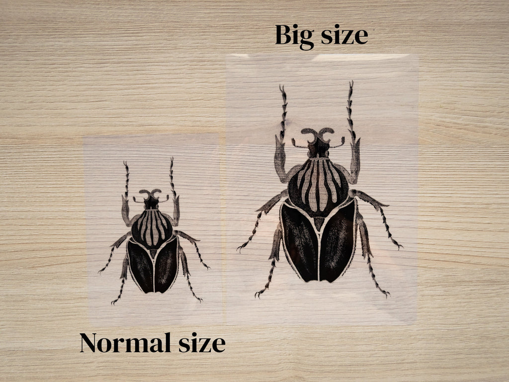 insects cyanotype art