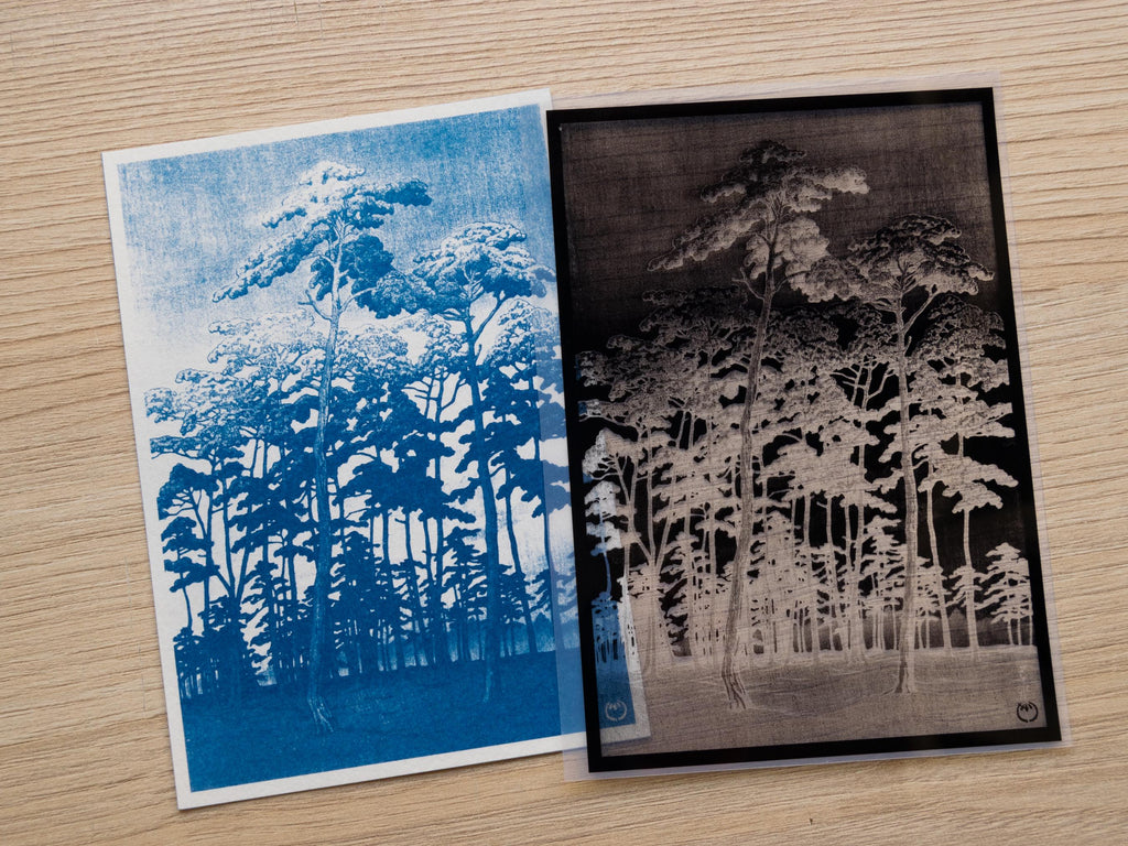 japanese forest cyanotype print