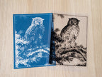 japanese owl cyanotype stencil for solar printing