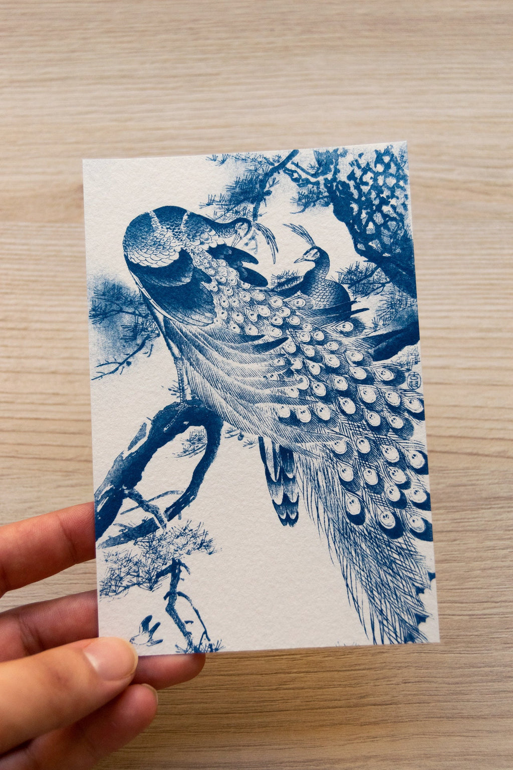 japanese peacock cyanotype print